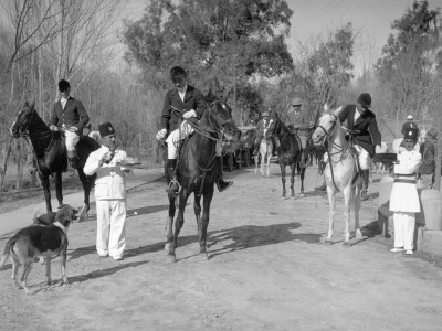 Baghdad Fox Hunt