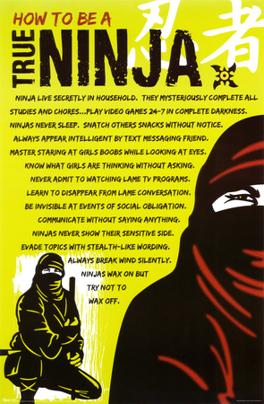 Buy True Ninja at AllPosters.com