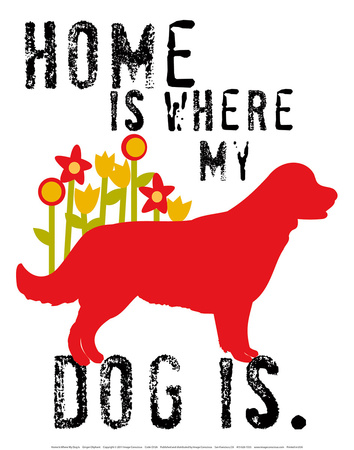 Home Is Where My Dog Is