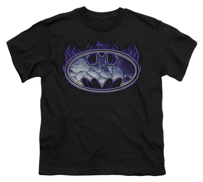 Youth: Batman-Cracked Shield