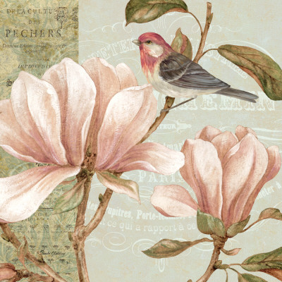 Delicate magnolia pink flower painting with bird - art print poster wall decor