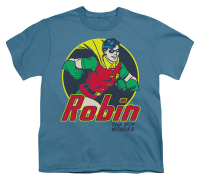 Youth: DC-The Boy Wonder