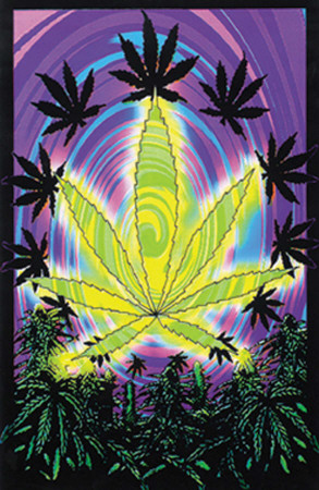 Buy Bud Sublime at AllPosters.com