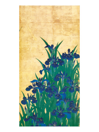 Irises, Japanese