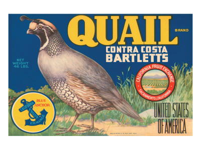 Quail Brand Contra Costa Bartletts