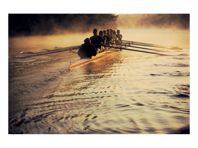 Team Rowing Down the River Poster