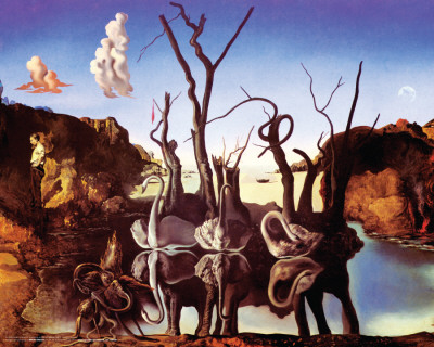 Dali - Reflection Of Elephants Posters