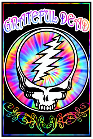 Buy Grateful Dead - Space Your Face at AllPosters.com