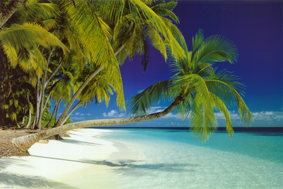 Maldives Beach