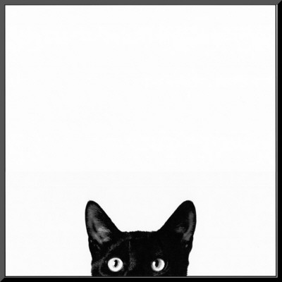 Curiosity