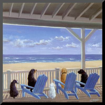 Dogs on Deck Chairs