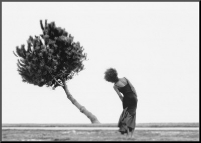 The Tree