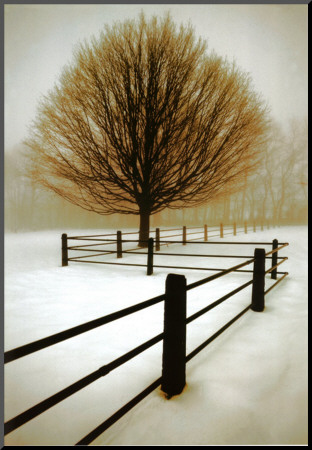 Solitude