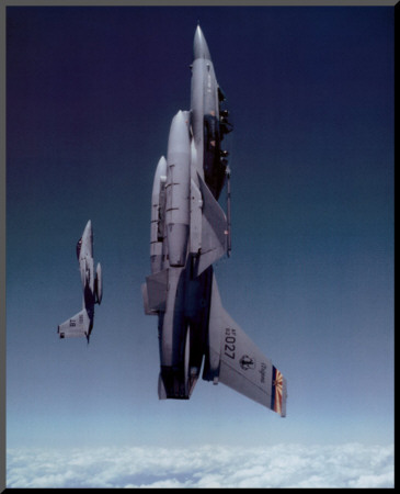 Leadership Planes