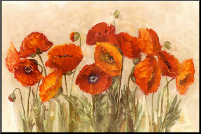 Vibrant Poppies