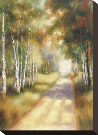 Peaceful Passage