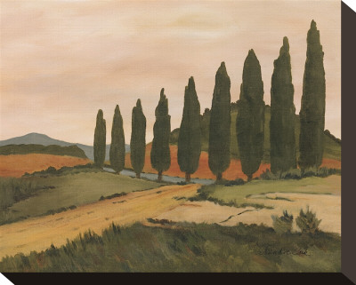 Shady Tuscan Road