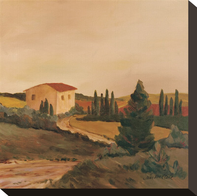 Sunny Tuscan Fields