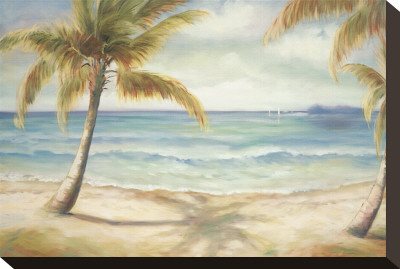 Shoreline Palms II