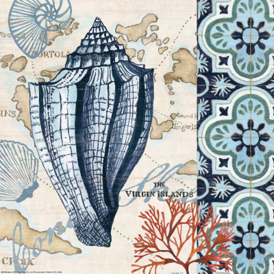 Trade Wind Conch