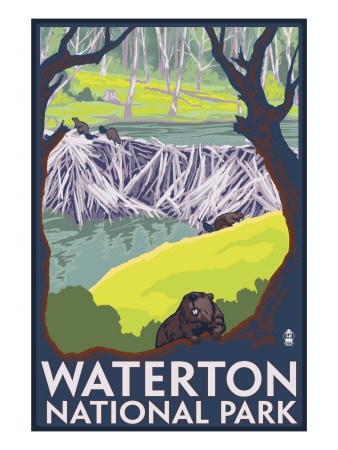 Buy Waterton National Park, Canada - Beaver Family at AllPosters.com