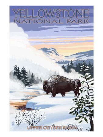 Bison Snow Scene - Yellowstone National Park