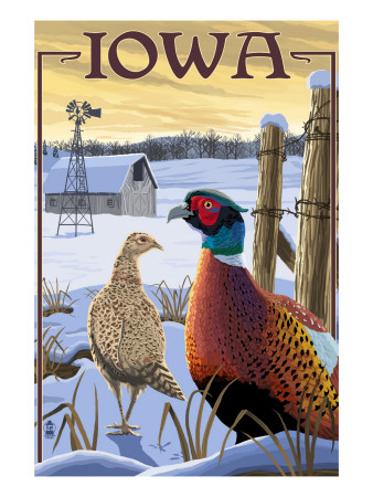 Pheasants - Iowa