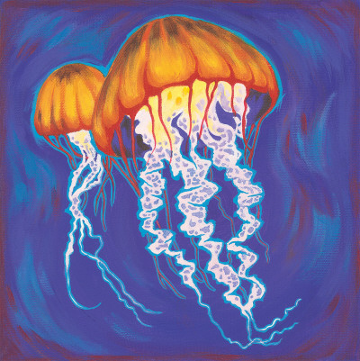 Jelly Fish Poster