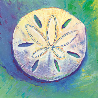 Sand Dollar Poster