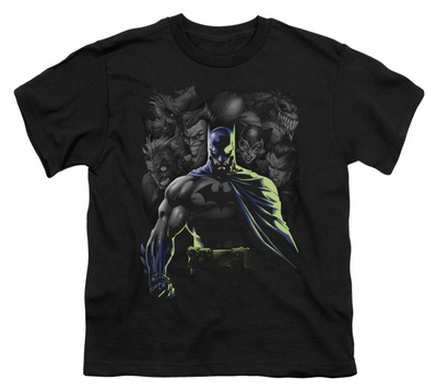 Youth: Batman - Villains Unleashed