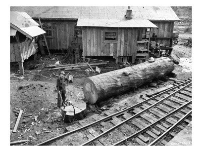 Cutting Kindling, Linco Log and Lumber Company, 1920