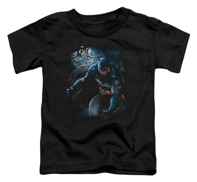 Toddler: Batman - Light of the Moon