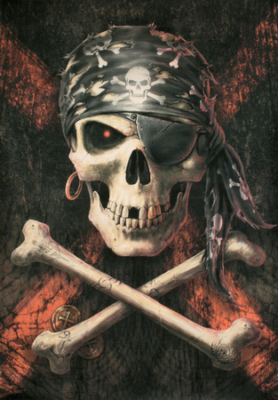 Buy Anne Stokes - Pirate Skull at AllPosters.com