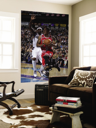 Chicago Bulls v Dallas Mavericks: Derrick Rose and Jason Terry Poster