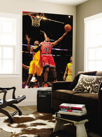 Chicago Bulls v Los Angeles Lakers: C.J. Watson and Lamar Odom Poster
