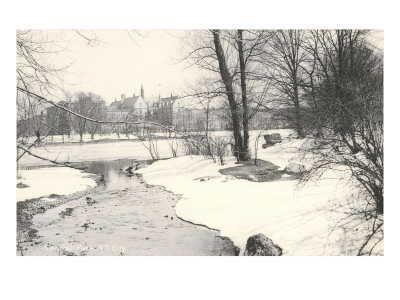 Central Park in Winter, New York City