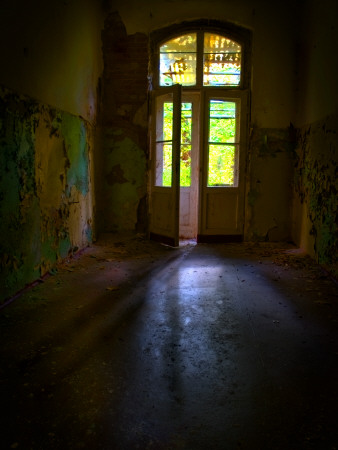 Dark French Doors