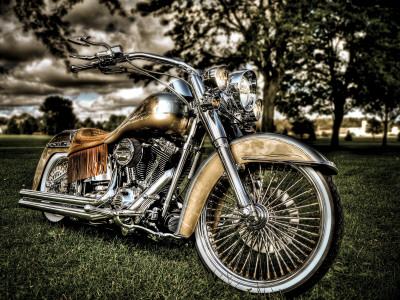 ‘Harley’ by Stephen Arens