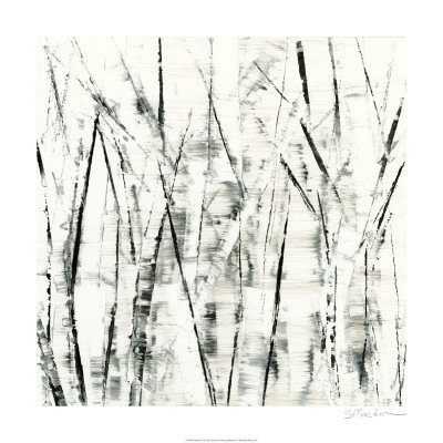 Birches II Posters