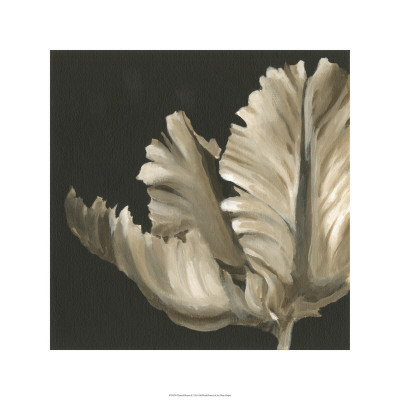 Classical Blooms II