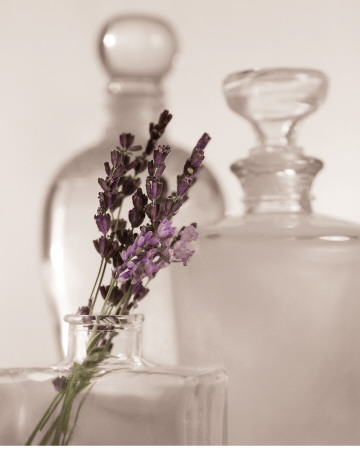 Lavender Detail