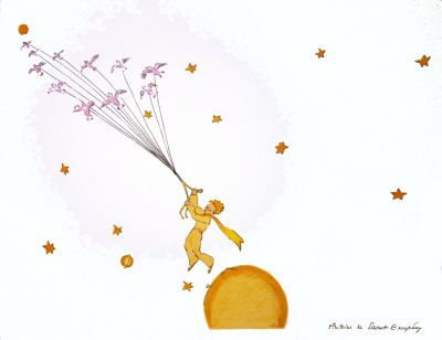 Les Oiseaux Sauvages