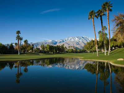 Pond in a Golf Course, Desert Princess Country Club, Palm Springs, Riverside County, California Poster