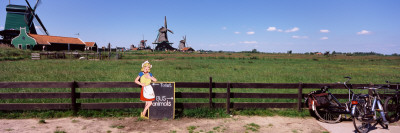Crop in the Field, Zaanse Schans, Zaanstad, North Holland, Netherlands