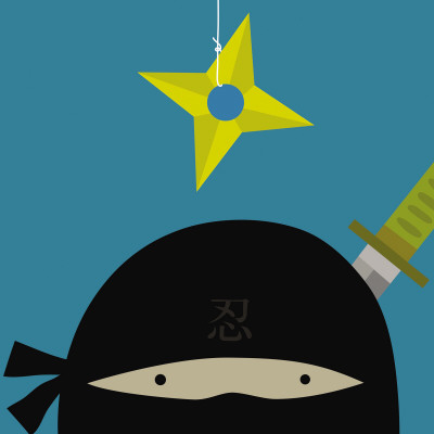 Peek-a-Boo Heroes: Ninja