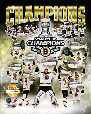 Buy Boston Bruins - Bruins Champions PF Gold at AllPosters.com