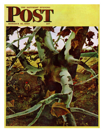"Sycamore Tree and Hunter," Saturday Evening Post Cover, October 16, 1943