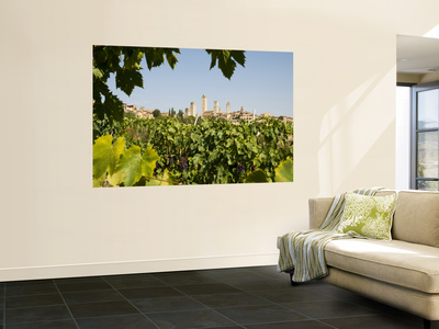 Towers of San Gimignano with Grapevines Producing Vernaccia Di San Gimignano Wine in Foreground