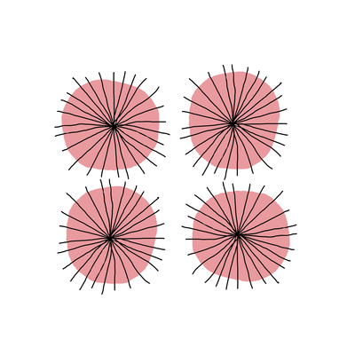 Mitosis Two