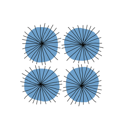 Mitosis Three